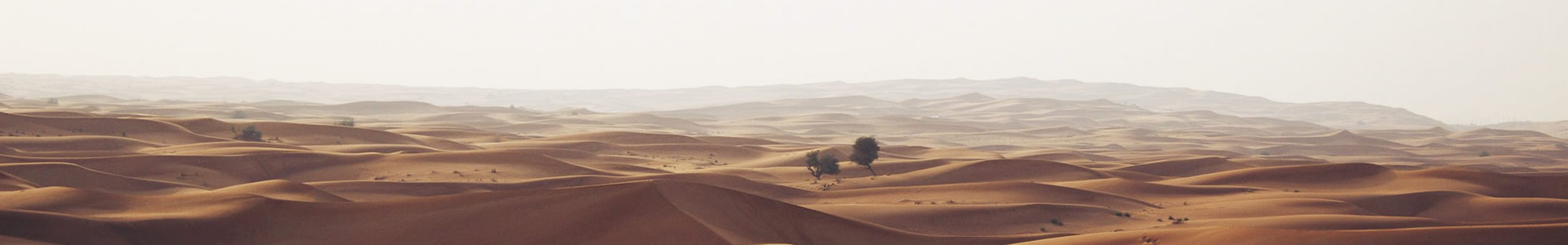 ڻջƼ޹˾